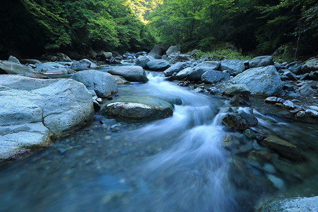 Elemento Agua
